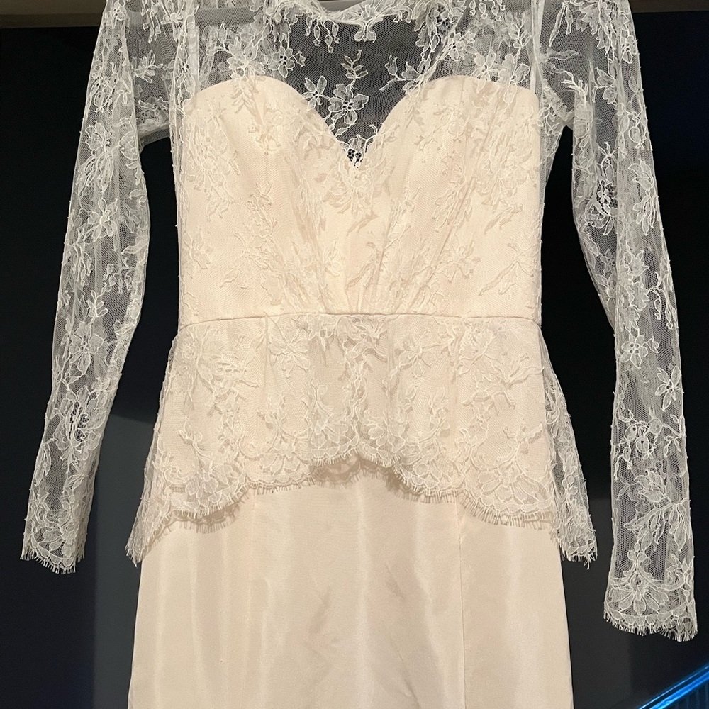Amsale Wedding Dress (Size 6)